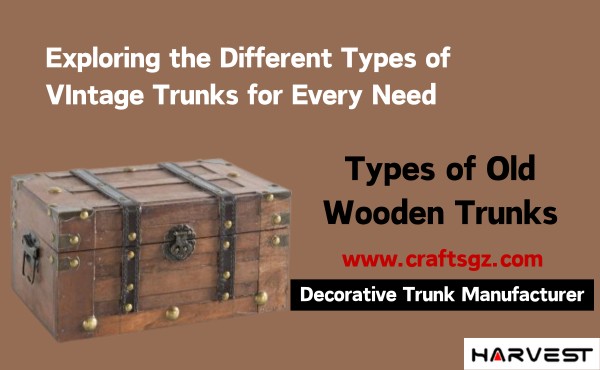 Exploring the Different Types of VIntage Trunks for Every Need